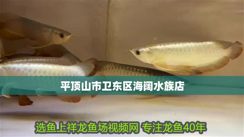 平頂山市衛東區海闊水族店 全國水族館企業名錄 第1張 平頂山市衛東區海闊水族店 平頂山市衛東區海闊水族店 全國水族館企業名錄 第1張