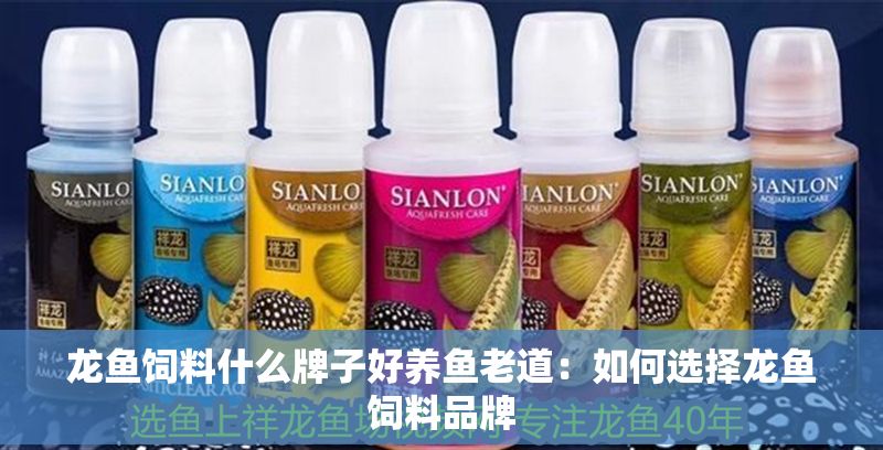 龍魚飼料什么牌子好養魚老道：如何選擇龍魚飼料品牌