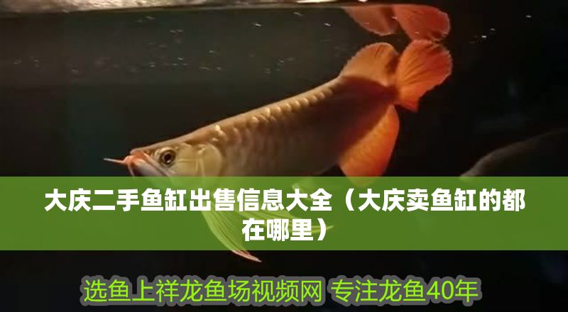 大慶二手魚缸出售信息大全（大慶賣魚缸的都在哪里）