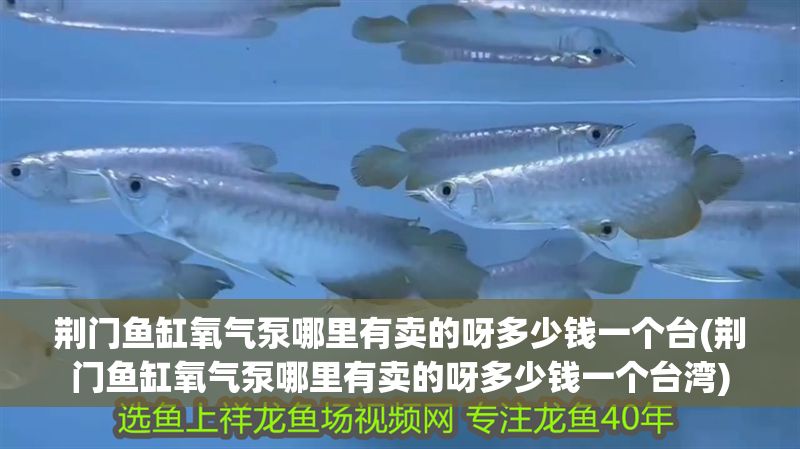 荊門魚缸氧氣泵哪里有賣的呀多少錢一個(gè)臺(tái)(荊門魚缸氧氣泵哪里有賣的呀多少錢一個(gè)臺(tái)灣)