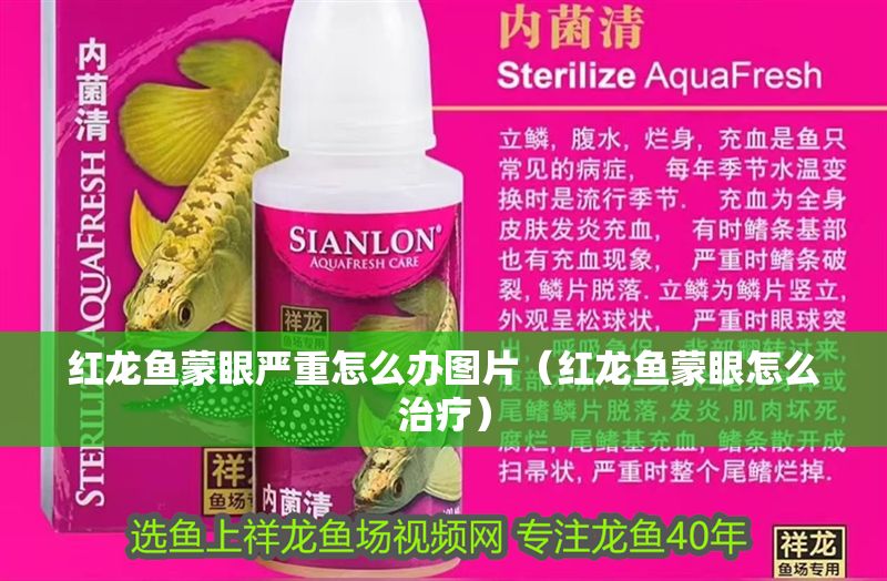 紅龍魚蒙眼嚴重怎么辦圖片（紅龍魚蒙眼怎么治療）