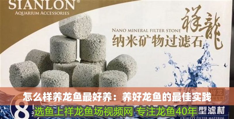 怎么樣養(yǎng)龍魚最好養(yǎng)：養(yǎng)好龍魚的最佳實(shí)踐