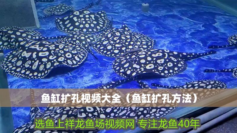 魚缸擴孔視頻大全（魚缸擴孔方法）