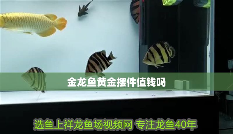 金龍魚黃金擺件值錢嗎