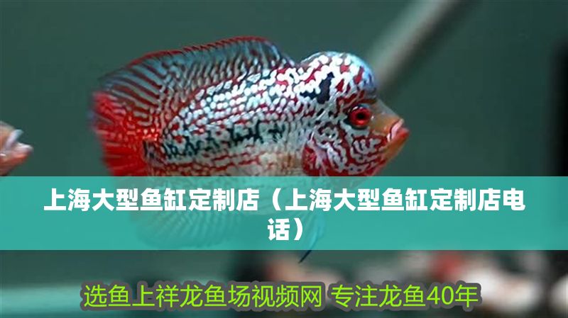 <strong><mark>上海</mark></strong>大型魚缸定制店（<strong><mark>上海</mark></strong>大型魚缸定制店電話）