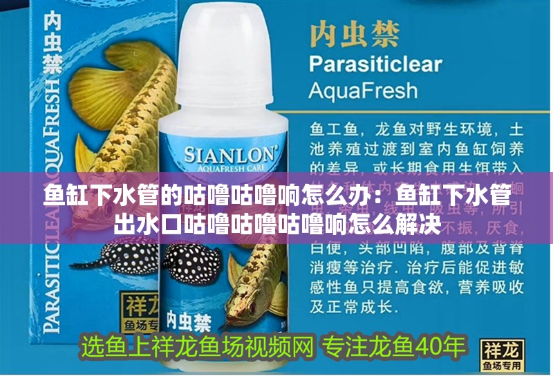 魚缸下水管的咕嚕咕嚕響怎么辦：魚缸下水管出水口咕嚕咕嚕咕嚕響怎么解決