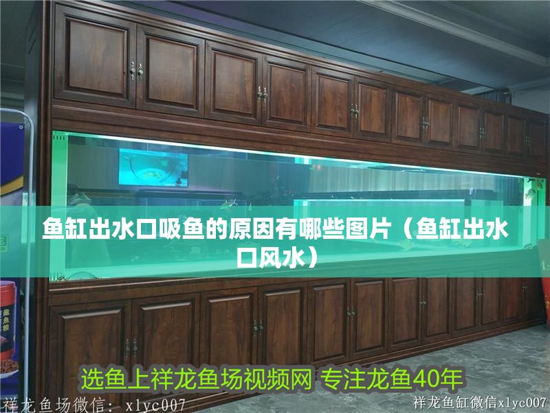 魚缸出水口吸魚的原因有哪些圖片（魚缸出水口風水）