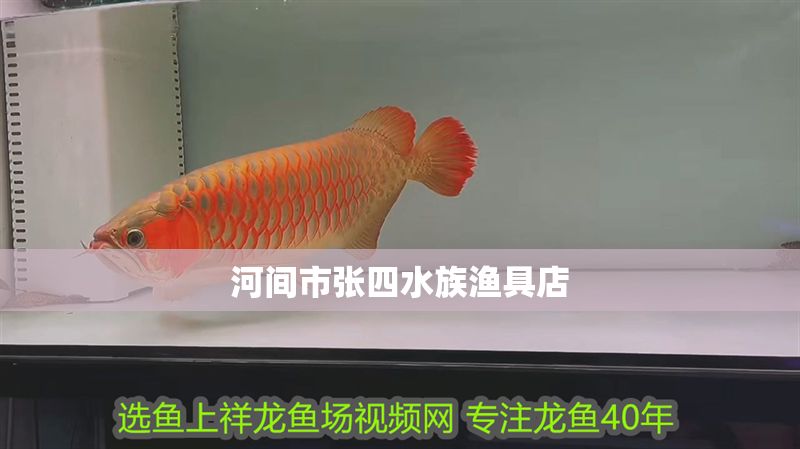河間市張四水族漁具店