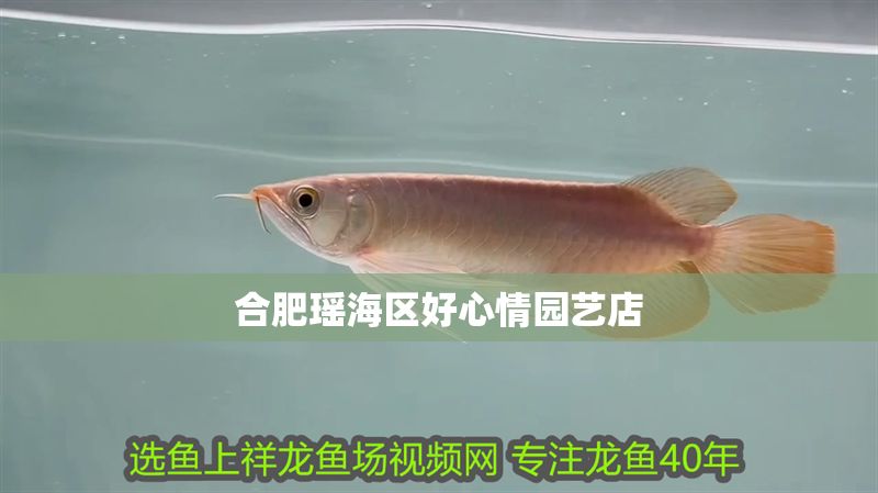 合肥瑤海區好心情園藝店 合肥瑤海區好心情園藝店 全國水族館企業名錄 第1張
