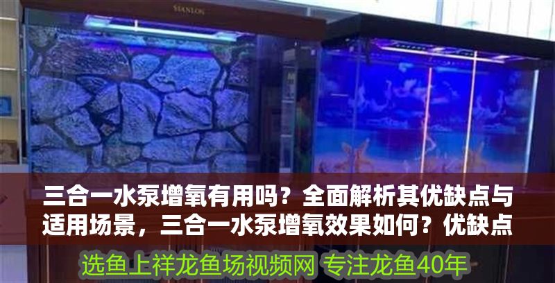 三合一水泵增氧有用嗎？全面解析其優(yōu)缺點(diǎn)與適用場(chǎng)景，三合一水泵增氧效果如何？?jī)?yōu)缺點(diǎn)與適用場(chǎng)景全解析
