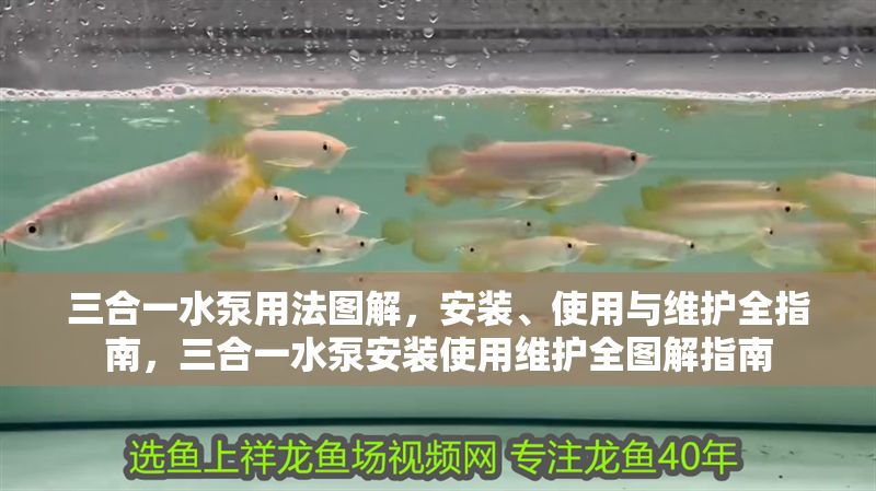 三合一水泵用法圖解，安裝、使用與維護(hù)全指南，三合一水泵安裝使用維護(hù)全圖解指南