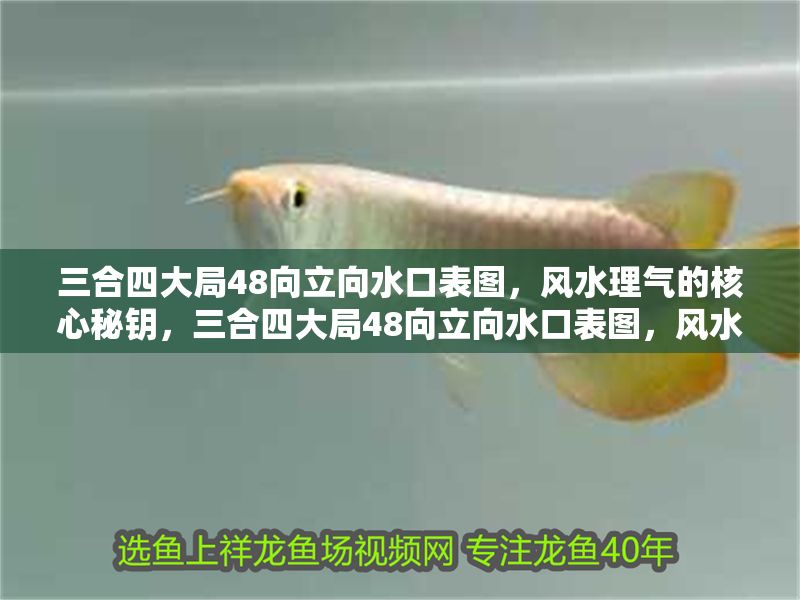 三合四大局48向立向水口表圖，風(fēng)水理氣的核心秘鑰，三合四大局48向立向水口表圖，風(fēng)水理氣的核心秘鑰