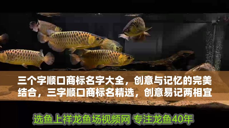 三個字順口商標名字大全，創意與記憶的完美結合，三字順口商標名精選，創意易記兩相宜