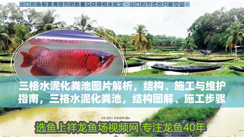 三格水泥化糞池圖片解析，結構、施工與維護指南，三格水泥化糞池，結構圖解、施工步驟與維護要點全解析