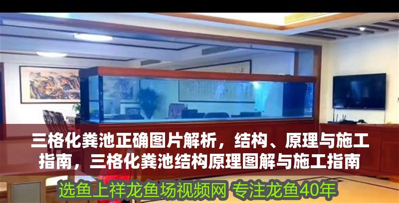 三格化糞池正確圖片解析，結構、原理與施工指南，三格化糞池結構原理圖解與施工指南