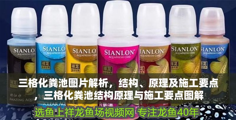 三格化糞池圖片解析，結構、原理及施工要點，三格化糞池結構原理與施工要點圖解 三格化糞池圖片解析，結構、原理及施工要點，三格化糞池結構原理與施工要點圖解 龍魚百科 第1張