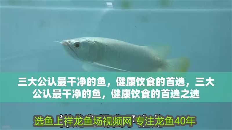 三大公認最干凈的魚，健康飲食的首選，三大公認最干凈的魚，健康飲食的首選之選