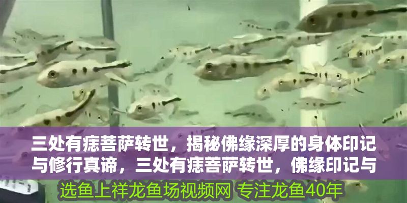 三處有痣菩薩轉世，揭秘佛緣深厚的身體印記與修行真諦，三處有痣菩薩轉世，佛緣印記與修行真諦解密