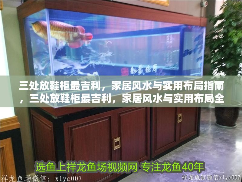 三處放鞋柜最吉利，家居風(fēng)水與實(shí)用布局指南，三處放鞋柜最吉利，家居風(fēng)水與實(shí)用布局全解析