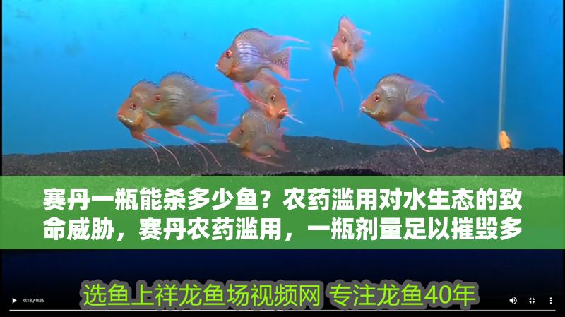 賽丹一瓶能殺多少魚？農(nóng)藥濫用對水生態(tài)的致命威脅，賽丹農(nóng)藥濫用，一瓶劑量足以摧毀多少水生生命？ 賽丹一瓶能殺多少魚？農(nóng)藥濫用對水生態(tài)的致命威脅，賽丹農(nóng)藥濫用，一瓶劑量足以摧毀多少水生生命？ 龍魚百科 第1張