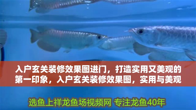 入戶玄關(guān)裝修效果圖進(jìn)門，打造實(shí)用又美觀的第一印象，入戶玄關(guān)裝修效果圖，實(shí)用與美觀并存的第一印象設(shè)計(jì) 入戶玄關(guān)裝修效果圖進(jìn)門，打造實(shí)用又美觀的第一印象，入戶玄關(guān)裝修效果圖，實(shí)用與美觀并存的第一印象設(shè)計(jì) 龍魚百科 第1張