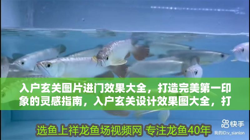 入戶玄關(guān)圖片進(jìn)門效果大全，打造完美第一印象的靈感指南，入戶玄關(guān)設(shè)計(jì)效果圖大全，打造完美第一印象的靈感指南