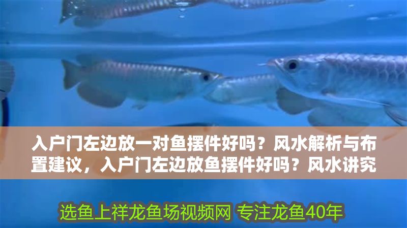 入戶門左邊放一對魚擺件好嗎？風水解析與布置建議，入戶門左邊放魚擺件好嗎？風水講究與擺放指南