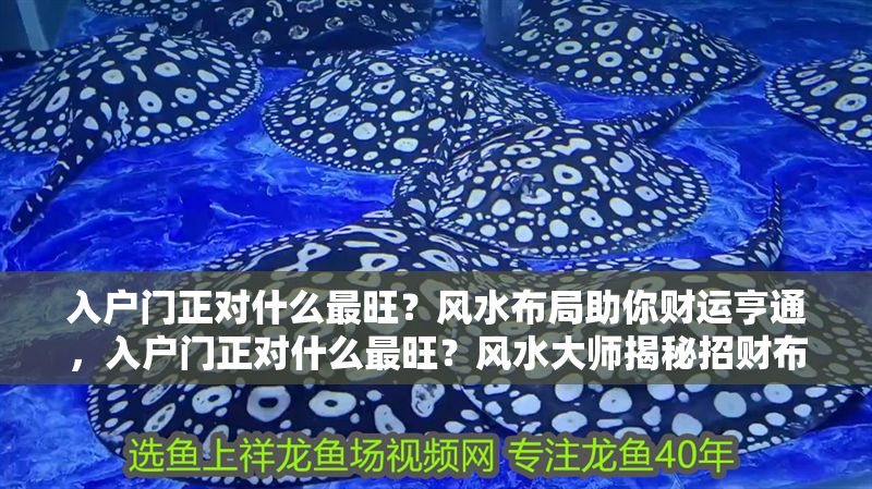 入戶門正對什么最旺？風水布局助你財運亨通，入戶門正對什么最旺？風水大師揭秘招財布局秘訣