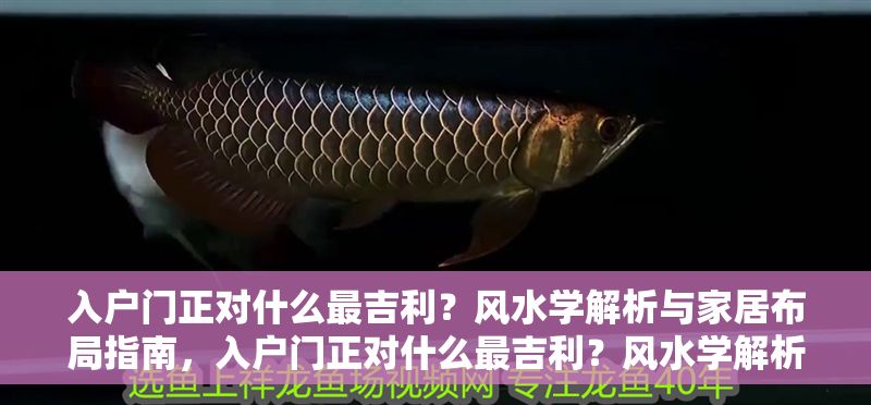 入戶門正對什么最吉利？風水學解析與家居布局指南，入戶門正對什么最吉利？風水學解析與家居布局指南