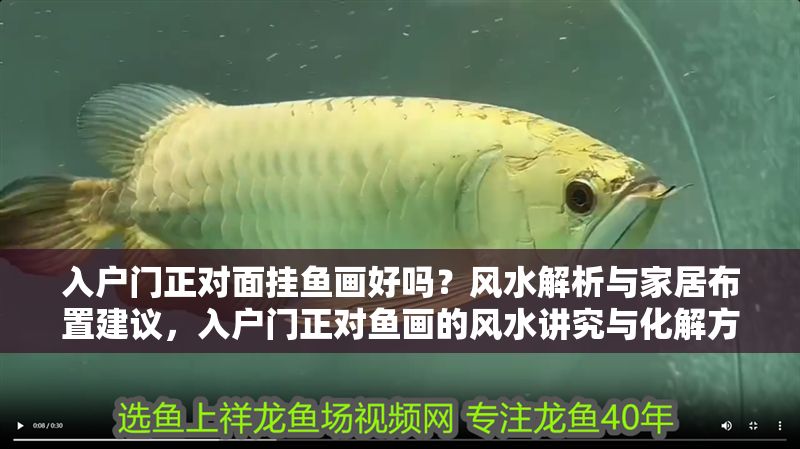 入戶門正對面掛魚畫好嗎？風水解析與家居布置建議，入戶門正對魚畫的風水講究與化解方法