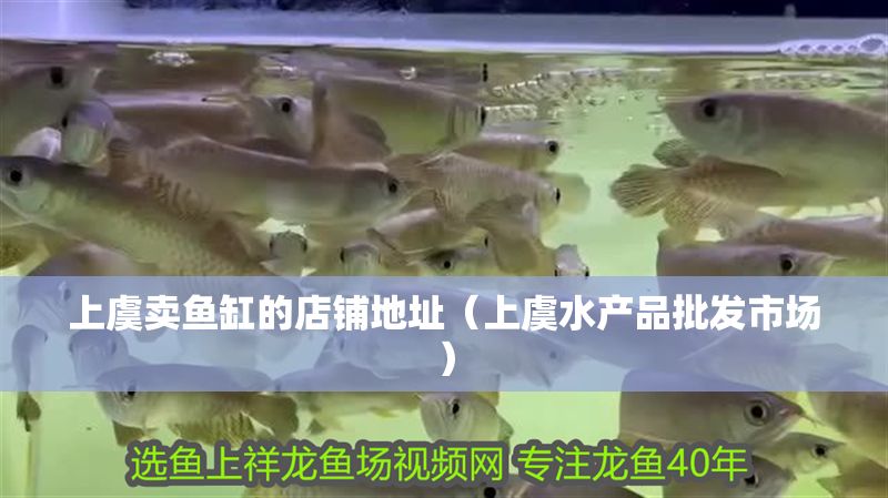 上虞賣魚缸的店鋪地址（上虞水產(chǎn)品批發(fā)市場）