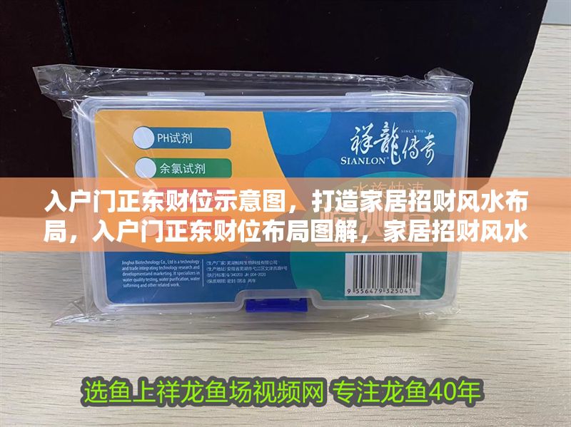 入戶門正東財位示意圖，打造家居招財風水布局，入戶門正東財位布局圖解，家居招財風水設計指南