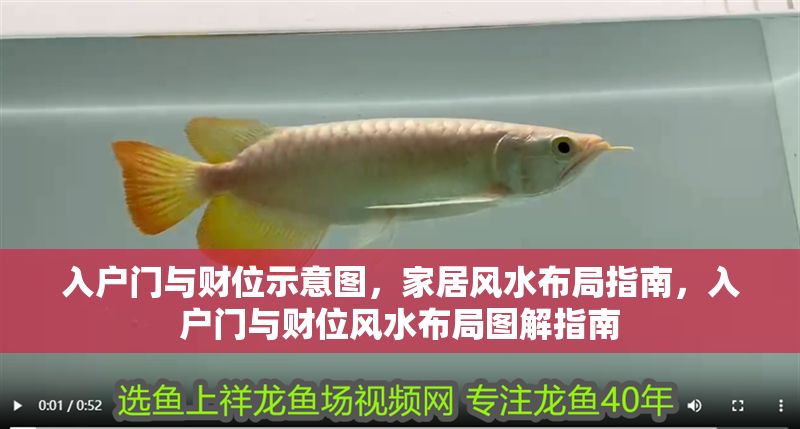 入戶門與財位示意圖，家居風水布局指南，入戶門與財位風水布局圖解指南