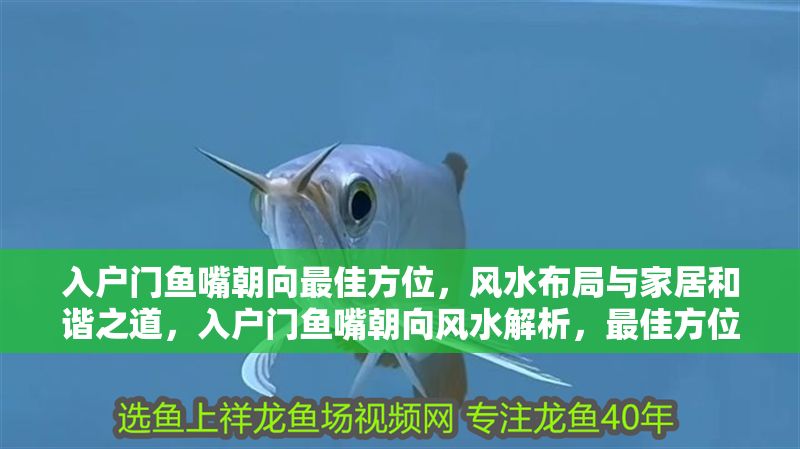 入戶門魚嘴朝向最佳方位，風水布局與家居和諧之道，入戶門魚嘴朝向風水解析，最佳方位與家居和諧布局指南