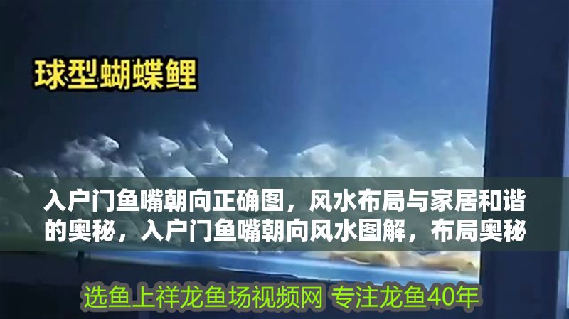 入戶門魚嘴朝向正確圖，風(fēng)水布局與家居和諧的奧秘，入戶門魚嘴朝向風(fēng)水圖解，布局奧秘助家宅和諧