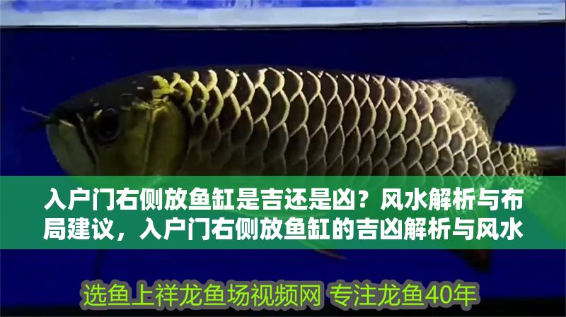 入戶門右側放魚缸是吉還是兇？風水解析與布局建議，入戶門右側放魚缸的吉兇解析與風水布局指南