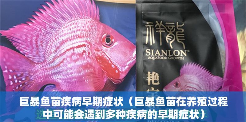 巨暴魚苗疾病早期癥狀（巨暴魚苗在養殖過程中可能會遇到多種疾病的早期癥狀）