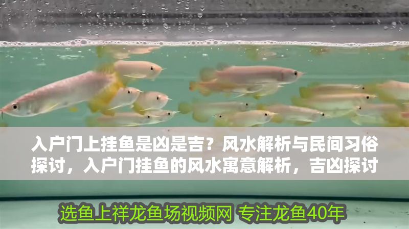 入戶門上掛魚是兇是吉？風水解析與民間習俗探討，入戶門掛魚的風水寓意解析，吉兇探討與習俗揭秘 入戶門上掛魚是兇是吉？風水解析與民間習俗探討，入戶門掛魚的風水寓意解析，吉兇探討與習俗揭秘 龍魚百科 第1張