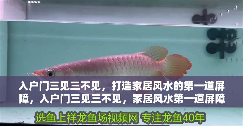 入戶門三見三不見，打造家居風水的第一道屏障，入戶門三見三不見，家居風水第一道屏障的黃金法則