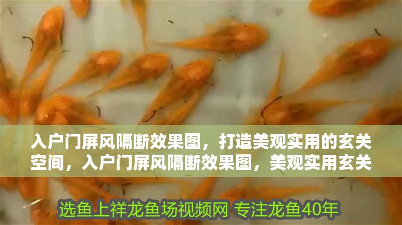 入戶門屏風隔斷效果圖，打造美觀實用的玄關空間，入戶門屏風隔斷效果圖，美觀實用玄關設計靈感