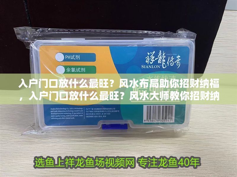 入戶門口放什么最旺？風(fēng)水布局助你招財(cái)納福，入戶門口放什么最旺？風(fēng)水大師教你招財(cái)納福布局秘訣