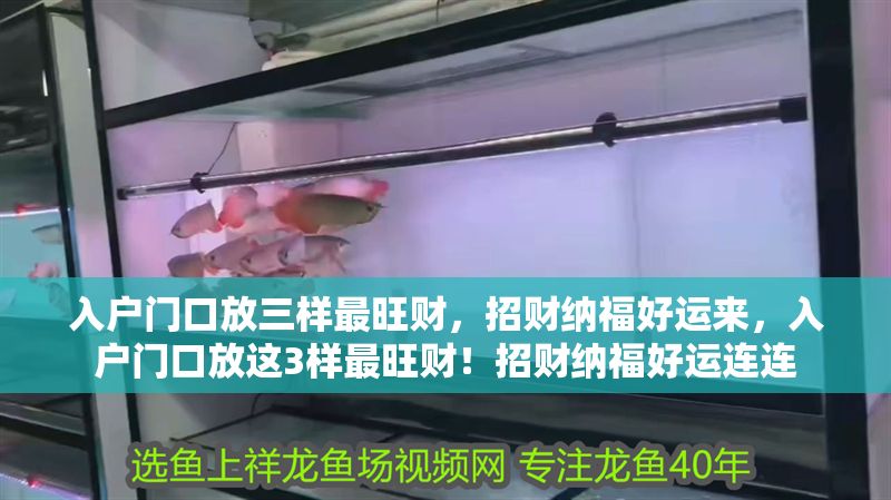 入戶門口放三樣最旺財，招財納福好運來，入戶門口放這3樣最旺財！招財納福好運連連