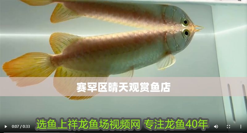 賽罕區晴天觀賞魚店