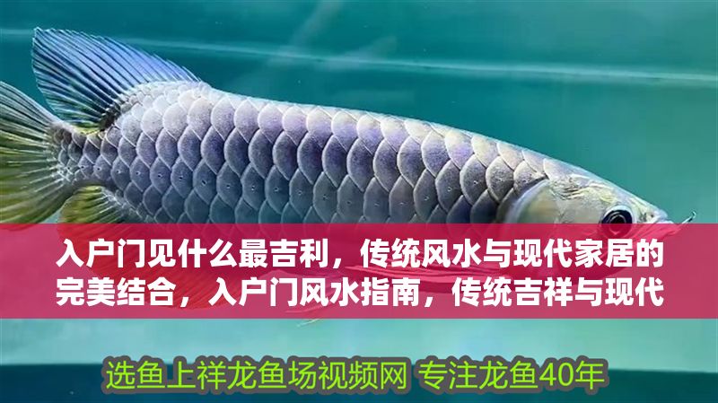 入戶門見什么最吉利，傳統風水與現代家居的完美結合，入戶門風水指南，傳統吉祥與現代家居的和諧布局 入戶門見什么最吉利，傳統風水與現代家居的完美結合，入戶門風水指南，傳統吉祥與現代家居的和諧布局 龍魚百科 第1張
