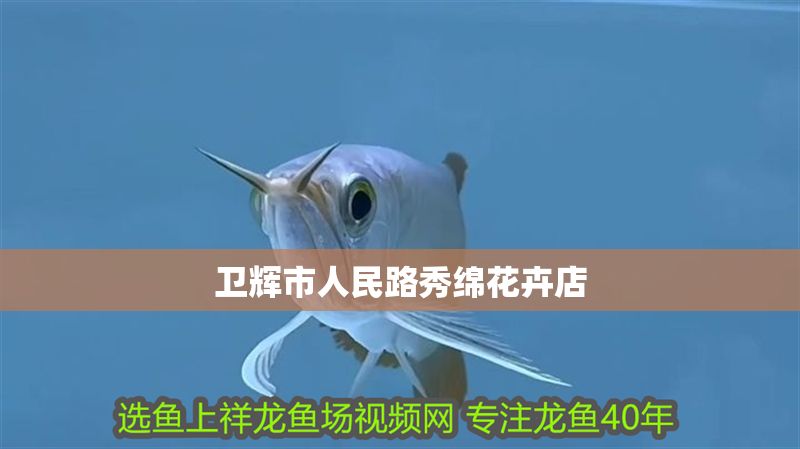 衛輝市人民路秀綿花卉店