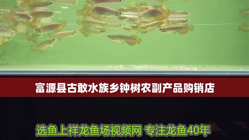 富源縣古敢水族鄉鐘樹農副產品購銷店 富源縣古敢水族鄉鐘樹農副產品購銷店 全國水族館企業名錄 第1張
