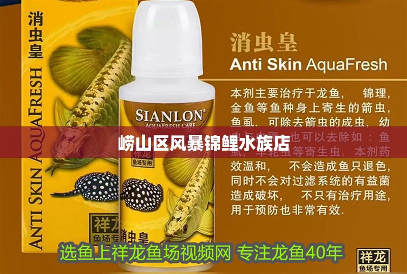 嶗山區風暴錦鯉水族店