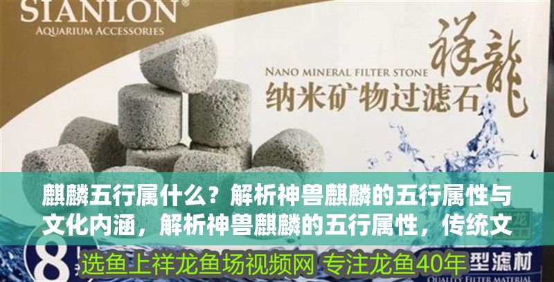 麒麟五行屬什么？解析神獸麒麟的五行屬性與文化內涵，解析神獸麒麟的五行屬性，傳統文化中的祥瑞象征