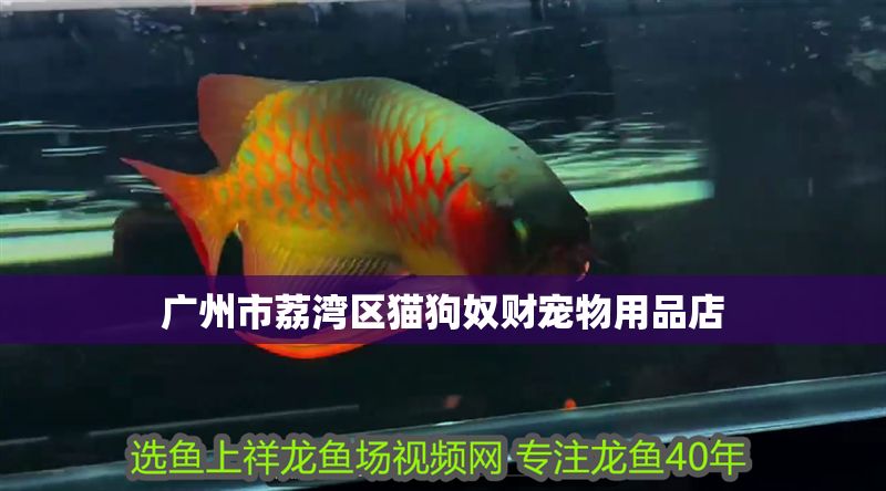 廣州市荔灣區(qū)貓狗奴財寵物用品店