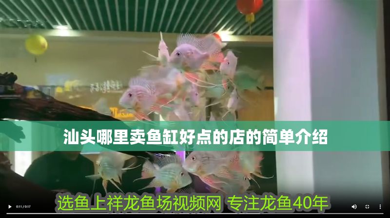 汕頭哪里賣魚缸好點的店的簡單介紹